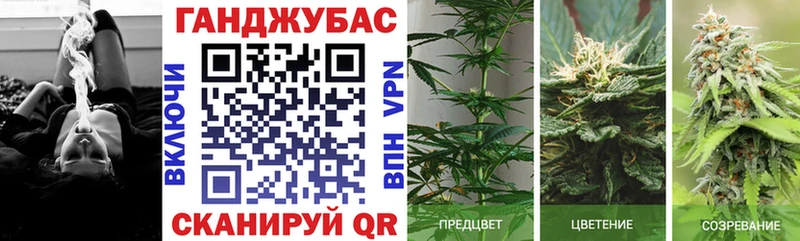 Магазины продажи наркотиков Кингисепп Экстази  COCAIN  ГАШ  Конопля 